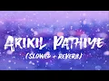 Arikil Pathiye Najeem Arshad Sangeetha Sreekanth Slowed Reverb