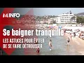 Download Lagu Quand les touristes se baignent, les voleurs en profitent