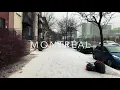 Shot on iPhone - Snowfall Montreal December 4-5 2019