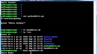 Raspberry Pi - Hello World in C