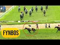Download Lagu Fynbos with P Trevor up wins The Bangalore Summer Derby 2025