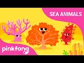 Download Lagu Hoy-hoy, Coral | Sea Animal Songs | Animal Songs | Pinkfong Songs for Children