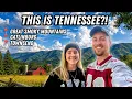 We Fell in Love with East Tennessee Smoky Mountains