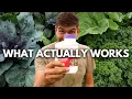 Download Lagu An ABANDONED Caribbean Distillery Held The Solution For Organic Pest Control!