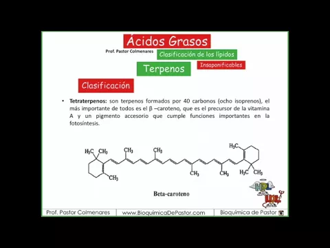 Download MP3 Terpenos | Ácidos Grasos Parte XIII