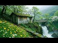 Download Lagu Gentle Music, Calms The Nervous System And Pleases The Soul 🌿 Healing Music For Sleep