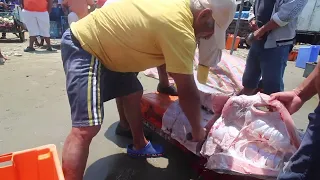 Fish Market in Ecuador. Fillet huge swordfish | Ep. 60