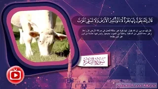 شرح سورة البقرة كاملة بالصور والفيديوهات المعبرة والتفسير الميسر حذيفة عبد المعطي 