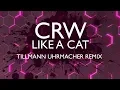 Download Lagu CRW - Like A Cat (Tillmann Uhrmacher Remix)
