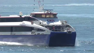                                                                                دندنها