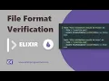 File Format Verification With Elixir
