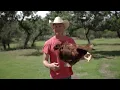 Kevin Fowler - How Country Are Ya? - Official Music Video [HQ]