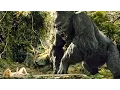 KING KONG (2005) - Ann Entertains Kong (Scene) - Funny Moment - Movie CLIP [1080p HD]