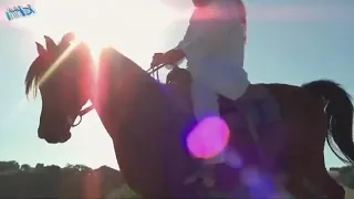 شيخ العشيرة عمي يا ربي شو مجنني أسأل عشيري من وين يما يا يما وين النشامى     دندنها
