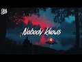 Shawn Mendes - Nobody Knows (Lyrics)