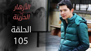 مسلسل الأزهار الحزينة الحلقة 105 الموسم الأول 