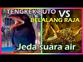 Download Lagu Masteran Tengkek Buto Speed Rapat Lambat Kasar vs Belalang Raja Jeda Suara Air Jernih Durasi Panjang