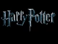 Download Lagu Harry Potter - Hedwig's Song HQ