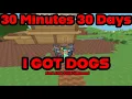 Download Lagu 30 Minutes 30 Days Day 17 I Have Dogs!