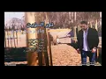 نور الزين مايرجع بعد