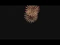 Fireworks safety tips with Albuquerque Fire Rescue