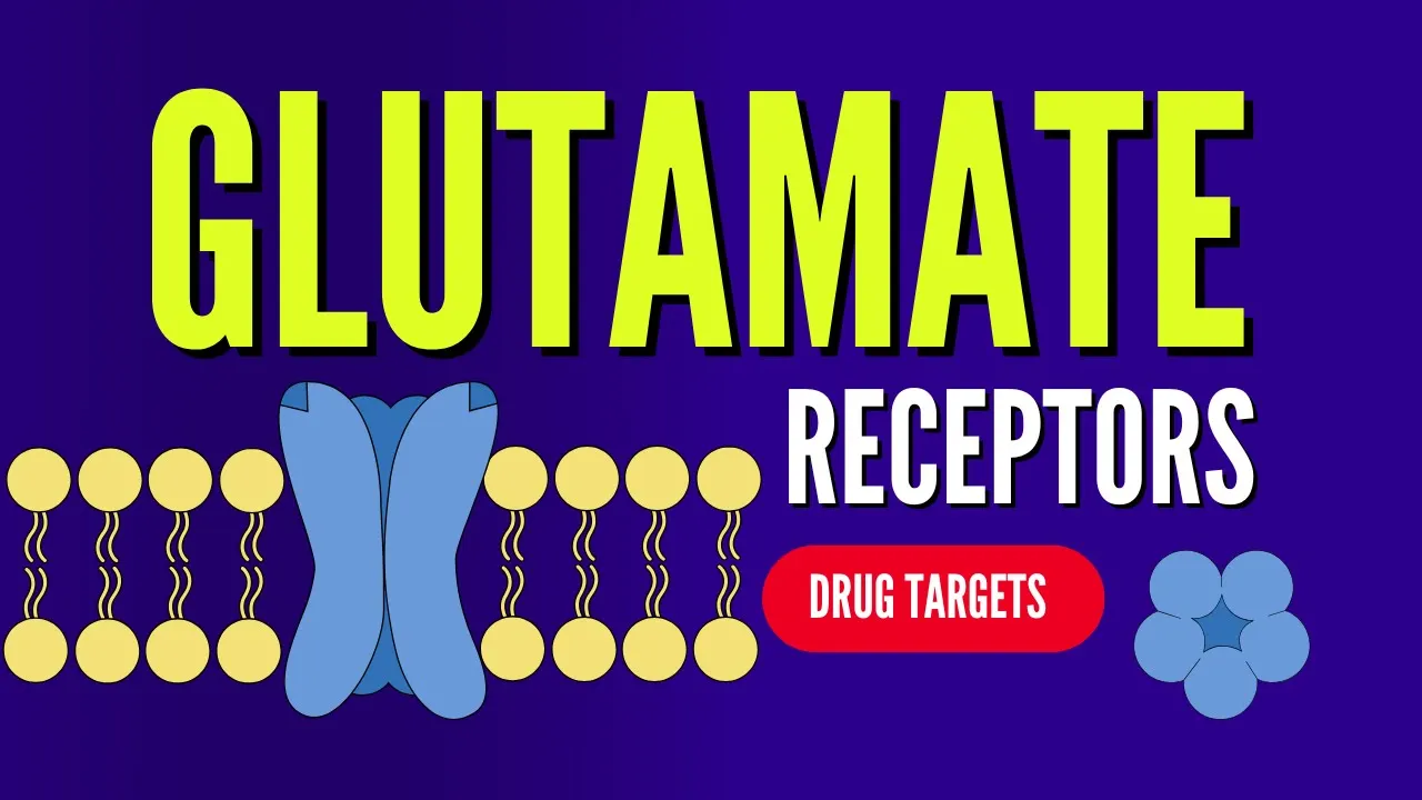 Glutamate receptors and Drug targets : Memantine, Ketamine, Perampanel