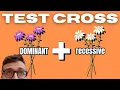 TEST CROSS EXPLAINED Find the Genotype