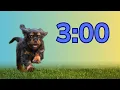 3 Minute Classroom Timer with Dogs