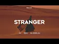 [FREE] Omah Lay x Tems x Oxlade Afrobeat Instrumental - "STRANGER"