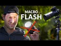Download Lagu Flashes KILL Your Macro Photography Learning