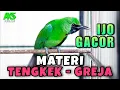 Download Lagu MASTERAN CUCAK IJO GACOR MATERI TENGKEK MIX GREJA TARUNG COCOK BUAT TEMBAKAN KASAR ISIAN IJO DEWASA