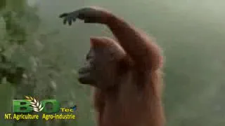 شافتك مزوجا وماعندكش الصاكا هي واش دير بيك  شافتك مزوجا وماعندكش الصاكا هي واش دير بيك