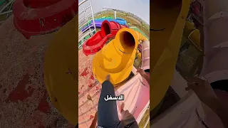                                             دندنها