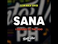 SANA (Slow Rock Cover)