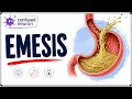 Emesis Vomiting Causes Pathway Anti-Emetic Drugs CTZ confused neuron