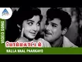 Download Lagu TMS P Susheela Songs| Nalla Naal Paarkavo Song | Bommalattam Tamil Movie | Jayalalitha | Jaishankar