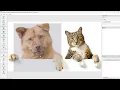 Image Labeling Annotation using Labelimg Easy way to label image MetaEd