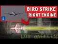 VOGELAANVAL in rechtermotor tijdens opstijgen! | Noodterugkeer naar LAX
