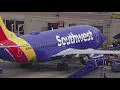 Bird strike forces Southwest Airlines flight to return to TPA shortly after departure
