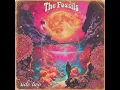 The Fossils - (B- Side/Full Album) | 60s Psychedelic/Acid Folk Rock