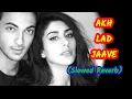 Akh Lad Jaave | slowed reverb | Loveyatri | Asees Kaur | Jubin Nautiyal |Badshah | lofi song