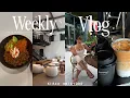 VLOG home shopping anti inflammatory meals routines huge haul skin care must have more