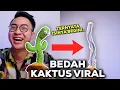 Download Lagu BEDAH ISI KAKTUS TIKTOK VIRAL! TERNYATA INI YANG BIKIN DIA JOGET...