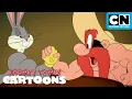 Download Lagu Can They Beat Bugs?! | Looney Tunes Cartoons | Cartoon Network
