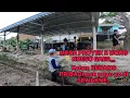 Download Lagu DRILLING PROCESS FOR POOL WALLS