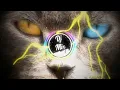 Download Lagu DJ YANG KALIAN CARI - NGAMEN 5 REMIX || TERBARU TIK TOK 2022 FULL BASS!