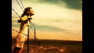 سیاوش قمیشی پرنده مهاجر 