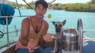 Should I STAY or Should I GO? – Bums on a Boat Ep 130