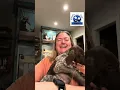 Last Show Tell - GSP Puppies