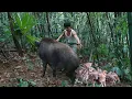The young CEO left the city for the forest, living freely and taming a herd of wild boars.